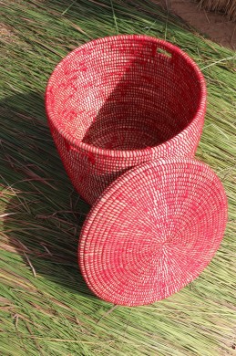 Fatou mand wol rood